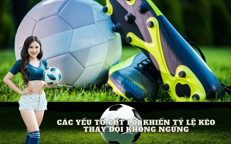 Các yếu tố cốt lõi khiến tỷ lệ kèo thay đổi không ngừng