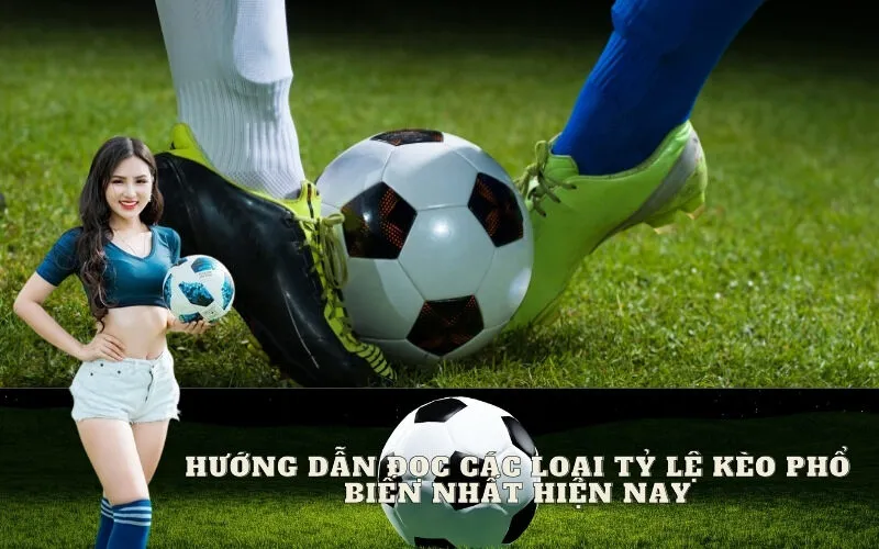 Hướng dẫn đọc các loại Tỷ lệ kèo phổ biến nhất hiện nay