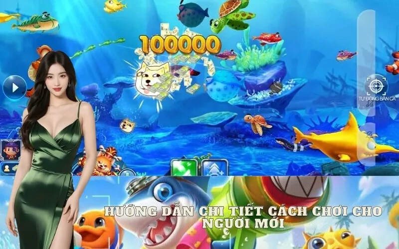 Mẹo và Chiến thuật chơi hiệu quả